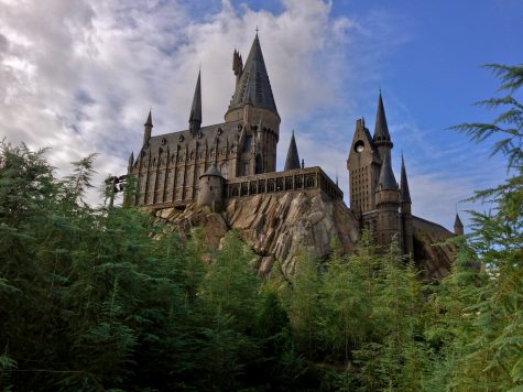 What Harry Potter Setting Should You Live In?
