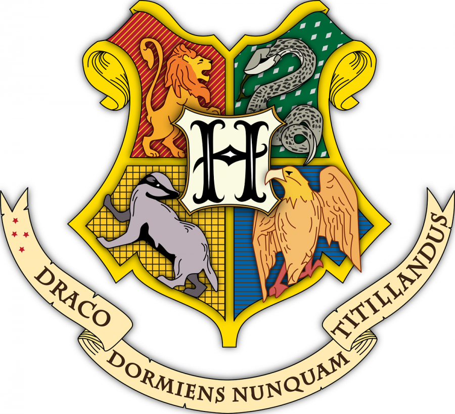 Can You Guess the Hogwarts House of These Teachers?