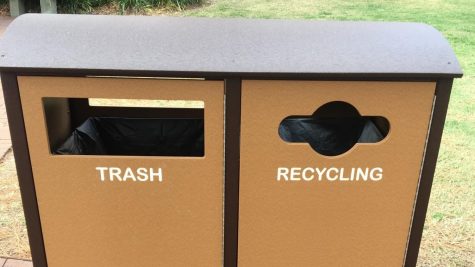 Upcycled: The Story Behind Berkeley’s New Recycle Bins
