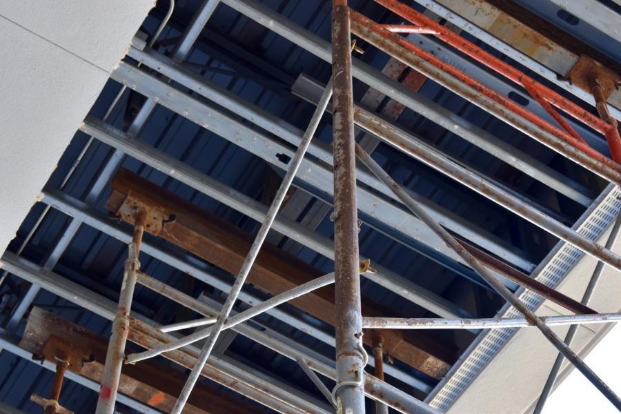 LOFTY GOALS: Part of the ceiling in the Aye Arboretum has been taken out to accommodate the scaffolding.
