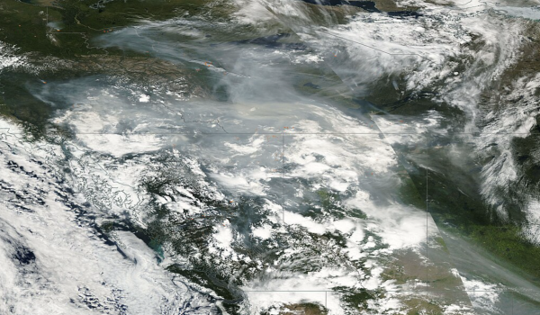 Has The Smoke From Canadian Wildfires Reached Florida?