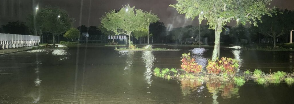 SENIOR SWIMTIME: The senior parking lot next to the Straz is completely submerged.